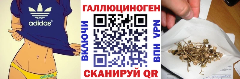 Псилоцибиновые грибы мицелий  цены   Каменка 