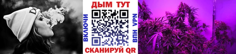 darknet наркотические препараты  Каменка  Бошки Шишки ГИДРОПОН 